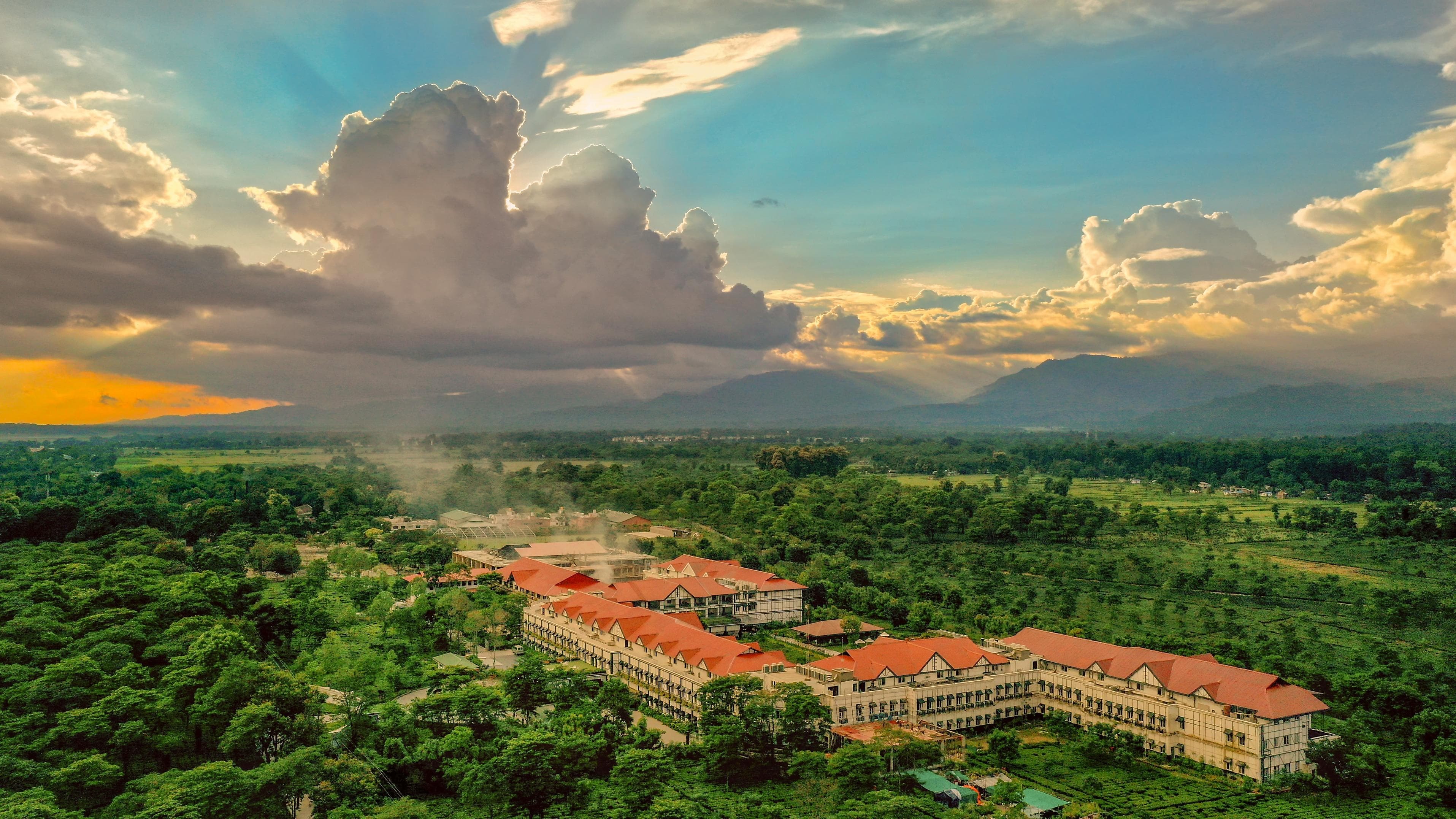 MAYFAIR TEA RESORT